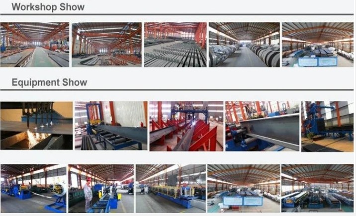 Qingdao Xinguangzheng Husbandry Co.,  Ltd línea de producción de fábrica