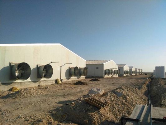 Granja de acero Casa de animales de pendiente única Ganadería personalizada