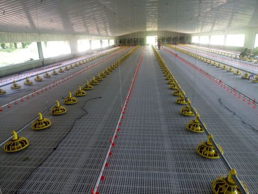 Sistema de piso de pollo OEM 380V Sistema de elevación plana de la casa entera
