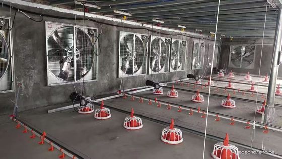 Sistema de piso de pollo OEM 380V Sistema de elevación plana de la casa entera