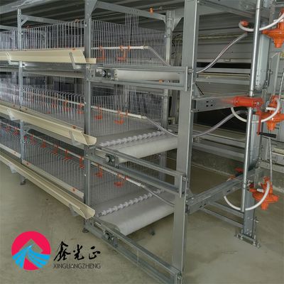 Construcción prefabricada de acero Criador Casas de pollos Casa de ganado agrícola