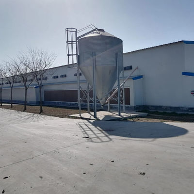 Construcción prefabricada de acero Criador Casas de pollos Casa de ganado agrícola