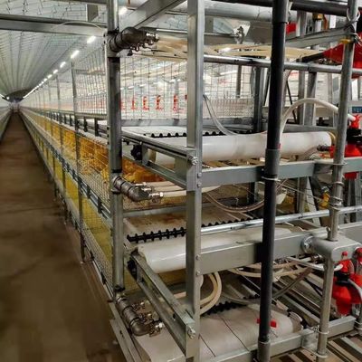 Construcción industrial de ganado de acero Casa de granja Uso de paneles de colores