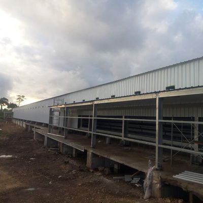 Hojas galvanizadas Granja de ganado Casa de acero Estructura de acero Criador Casas de pollo