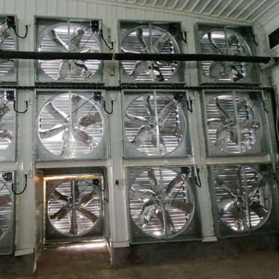 Casa avícola de acero con ventanas correderas y ventilación