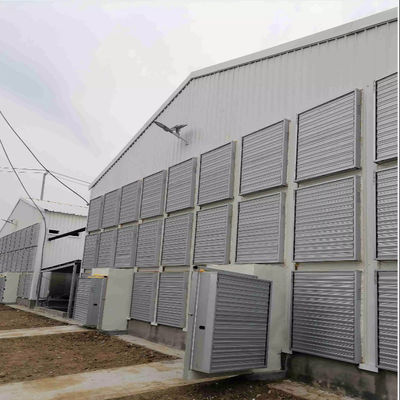 OEM Estándar de la casa de aves de corral estructura de acero con ventanas corredizas