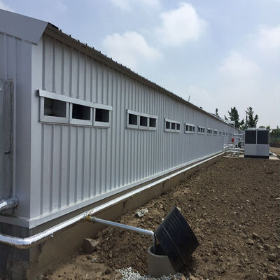 CE Casa de granja de ganado Estructura de acero Casa de pollo y equipo para pollo