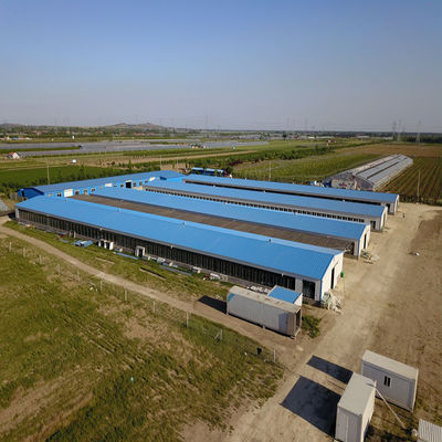 CE Casa de granja de ganado Estructura de acero Casa de pollo y equipo para pollo