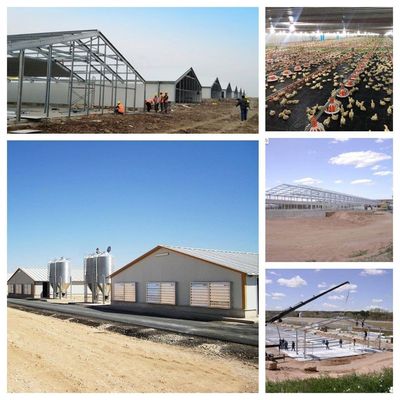 CE Casa de granja de ganado Estructura de acero Casa de pollo y equipo para pollo