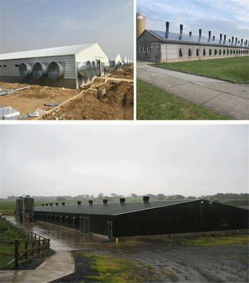 CE Casa de granja de ganado Estructura de acero Casa de pollo y equipo para pollo