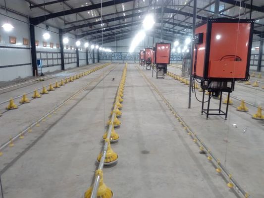 Sección H de acero para gallinero comercial estructura prefabricada de acero