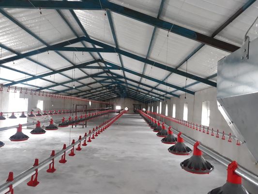 Sección H de acero para gallinero comercial estructura prefabricada de acero