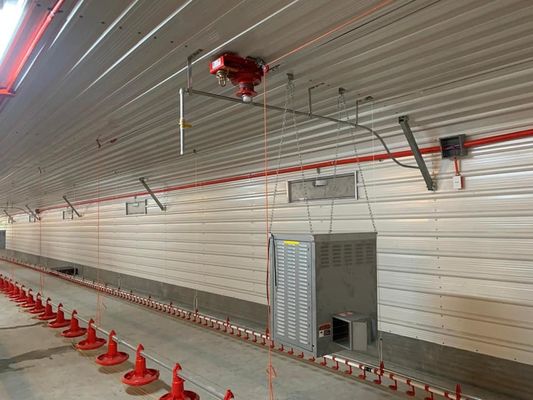 Sección H de acero para gallinero comercial estructura prefabricada de acero