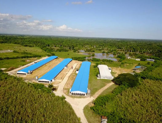 ISO Casa de granja de ganado Estructura prefabricada de acero Casa de granja de aves de corral