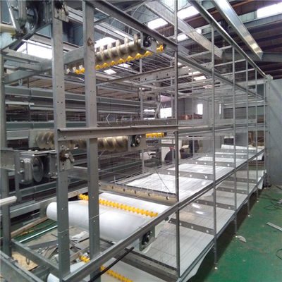 H Diseño de jaulas de marco Sistema automático de alimentación de pollos para granjas avanzadas