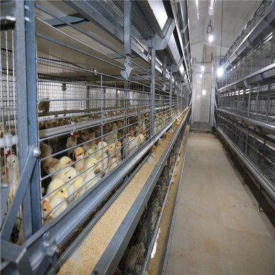 H Diseño de jaulas de marco Sistema automático de alimentación de pollos para granjas avanzadas