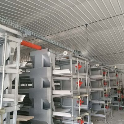 Sistema de jaula de pollo para pollos de gran tamaño 230M*56M para el país de origen