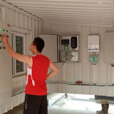 Sistema automático de alimentación de pollos La solución ideal para las granjas avícolas