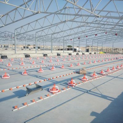 Reproducción de aves de corral de plástico para un rendimiento óptimo en la avicultura