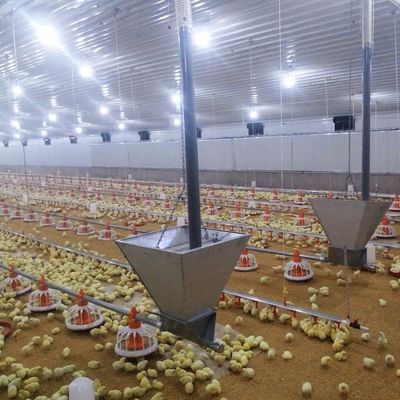 Sistema de suelo de pollo de carne duradero con resistencia a la corrosión / Materia plástica