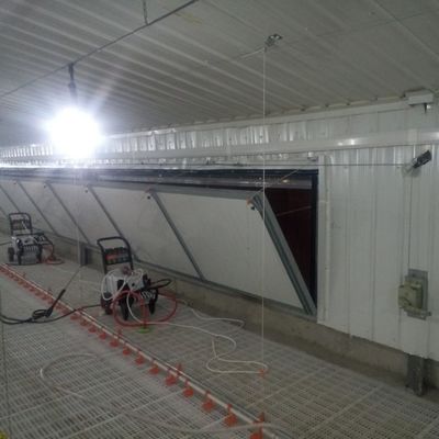 Estándar del sistema de piso antiderrapante para pollos de engorde para un rendimiento superior