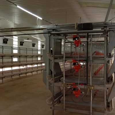 1950*350*380mm Jaula de puesta de aves de corral para granjas avance en tecnología