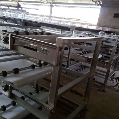 Cajera de pollo galvanizado de 3 niveles con alimentación automática