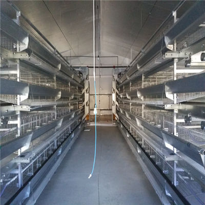 Acero galvanizado de tipo A Recinto para pollos de producción de huevos para sistemas automatizados de alimentación y bebida