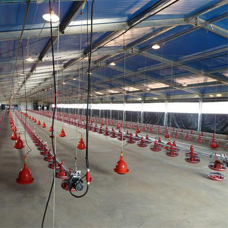 Excelente sistema de ventilación interrelacionada de suelo de pollos para la línea de producción de ganado