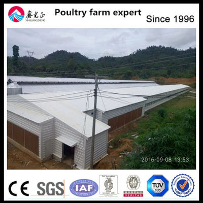 Granja avícola aislada con EPS y ventanas de aleación de aluminio