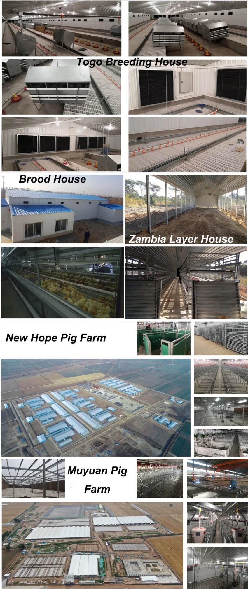 ISO Casa de granja de ganado Estructura prefabricada de acero Casa de granja de aves de corral 2